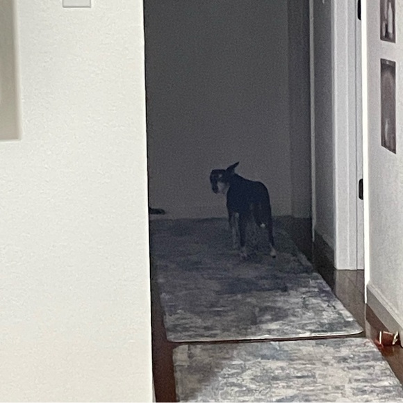 ALL PRICES NEGOTIABLE - Picture 12 of 13